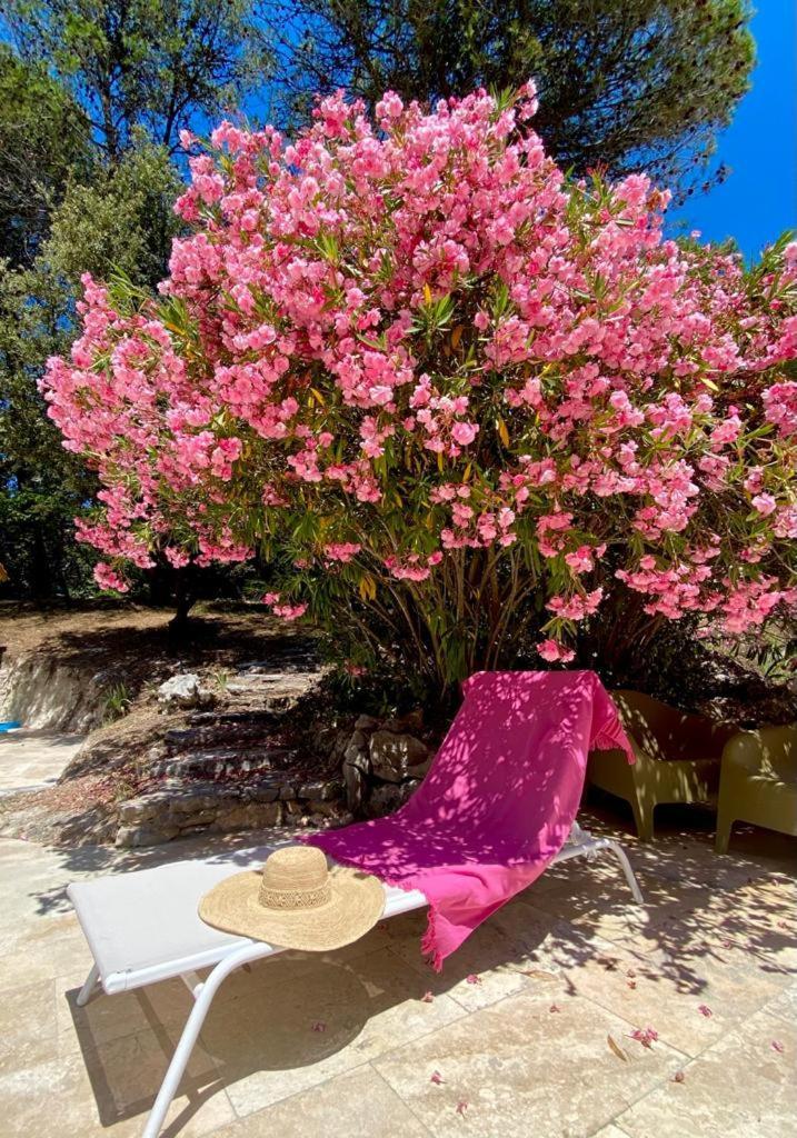 La Bastide Blanche Magnifique Villa 5 Etoiles 5 Chambres Et Piscine Privee Sur 6500 M Var Lorgues Exterior foto