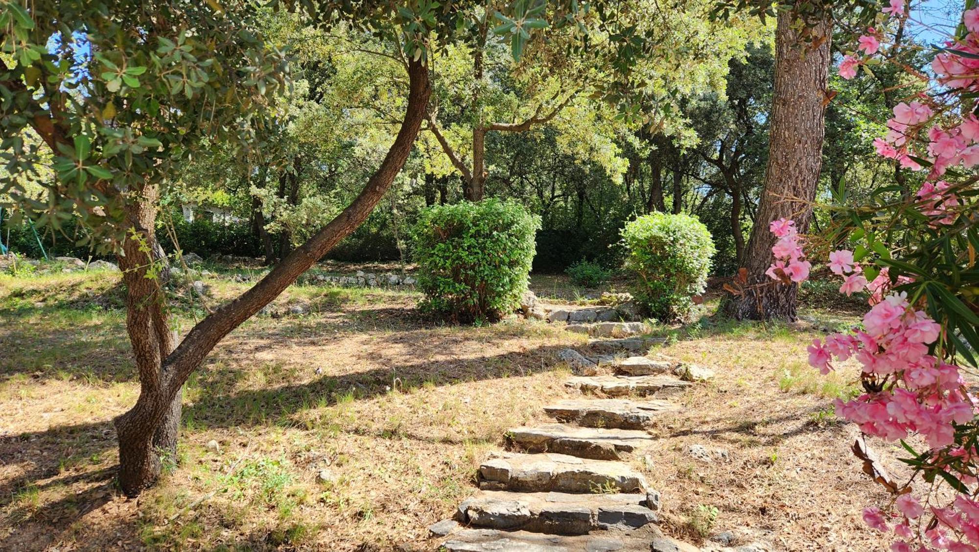 La Bastide Blanche Magnifique Villa 5 Etoiles 5 Chambres Et Piscine Privee Sur 6500 M Var Lorgues Exterior foto